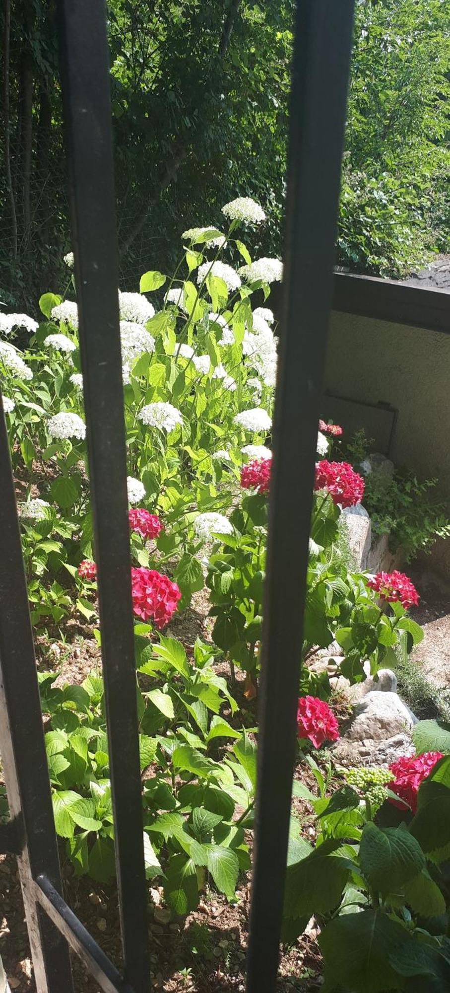 Ferienhaus In Tremosine Sul Garda Pieve  Zewnętrze zdjęcie